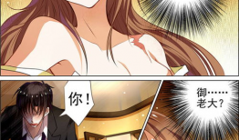 肉嫁动漫在线观看,一场跨越次元的甜蜜邂逅