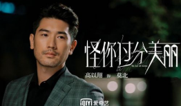 高以翔电视剧,璀璨星途，永恒的追梦者